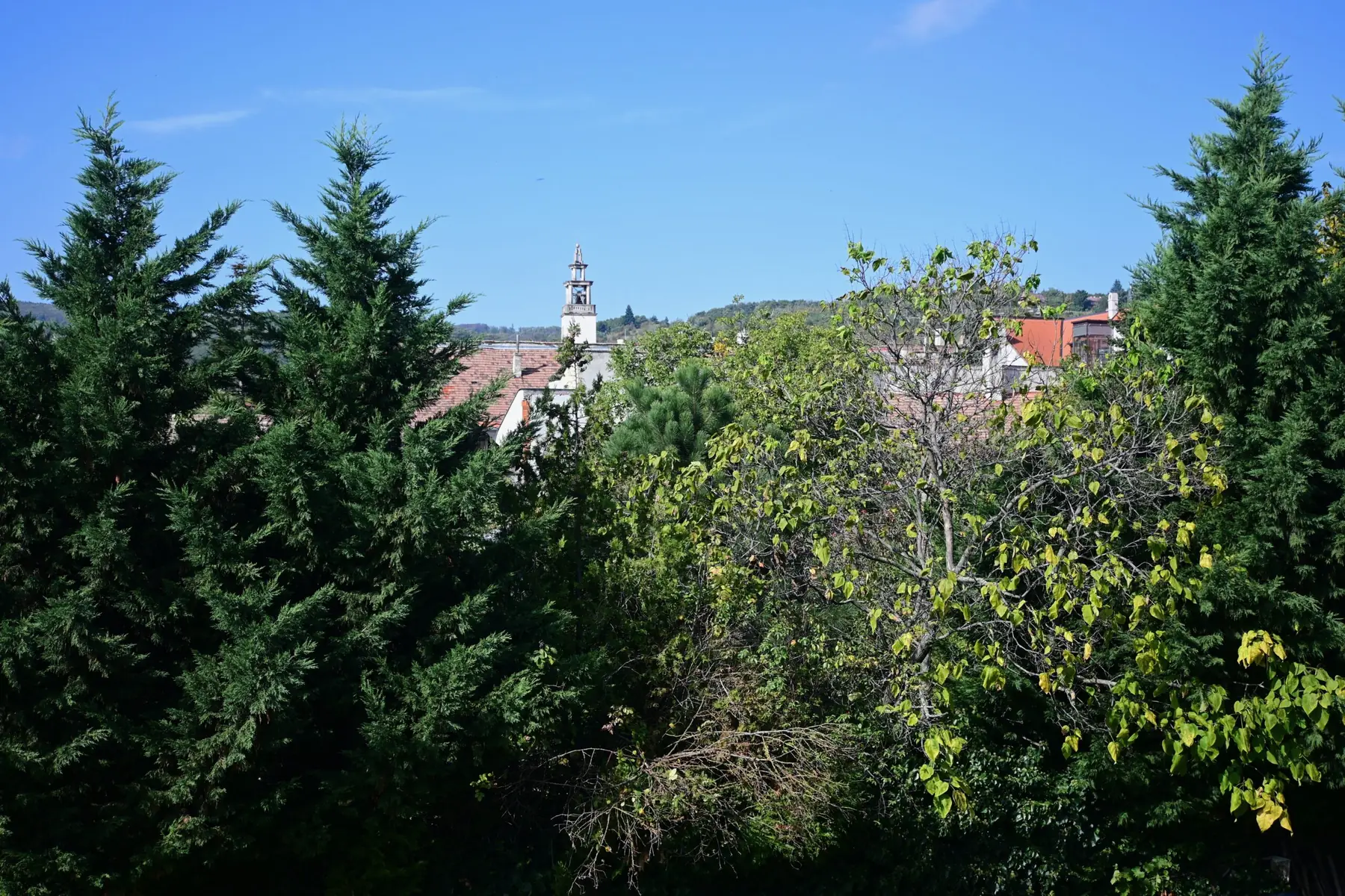Výhľad na kostol a strechy Svätého Jura